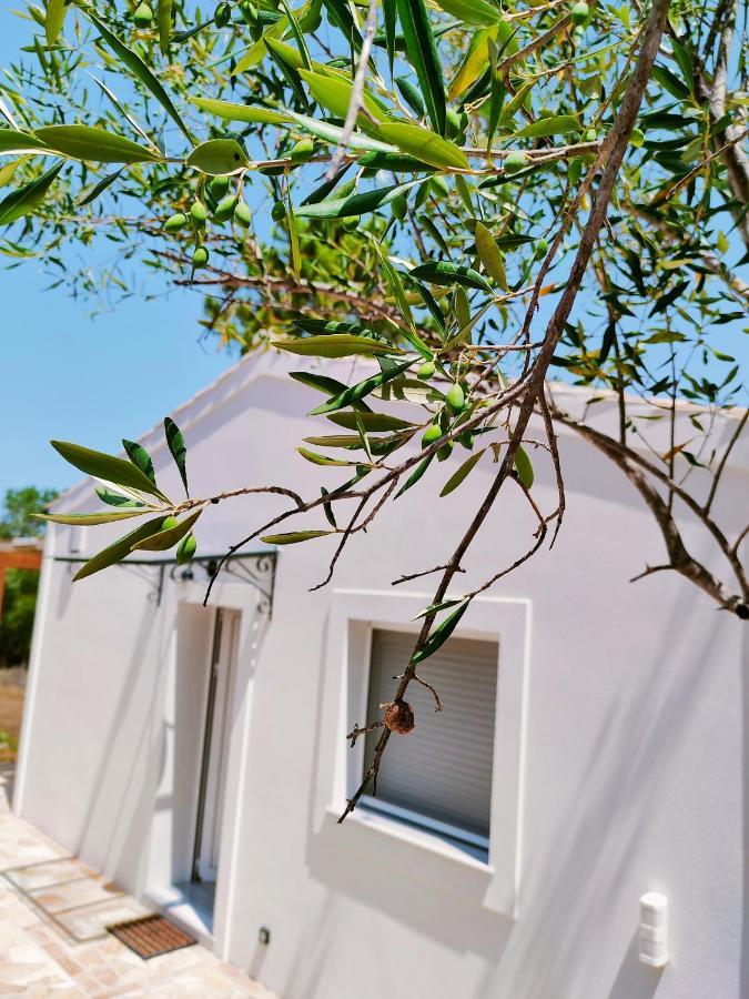 The Old Stables Apartment Vátos المظهر الخارجي الصورة