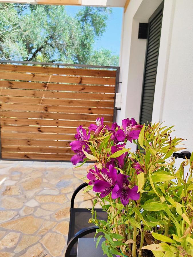 The Old Stables Apartment Vátos المظهر الخارجي الصورة